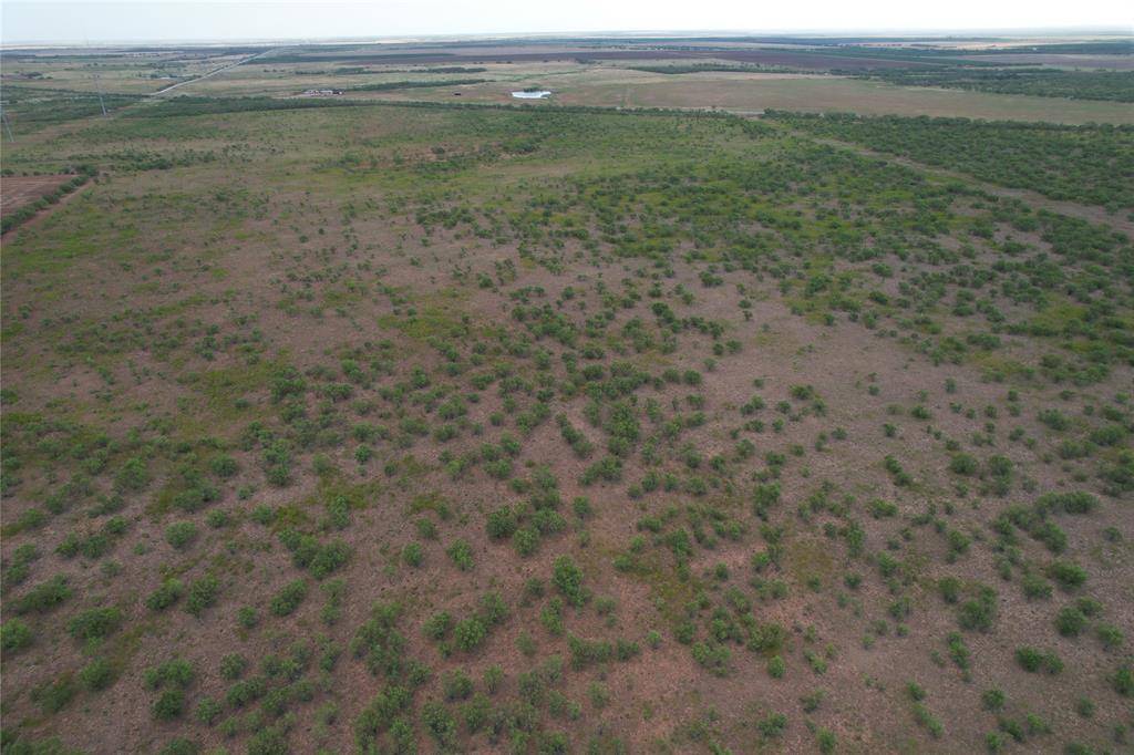 Lueders, TX 79533,75+/- Ac (N) FM 1597