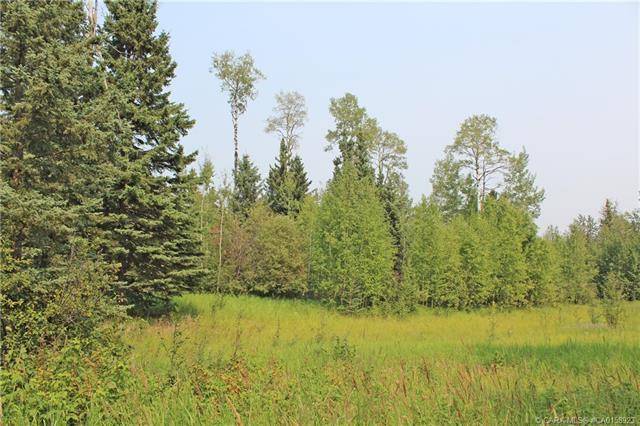 Rural Clearwater County, AB T4T 2A4,4 Forrest Close