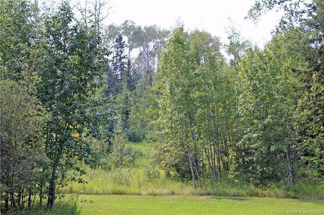 Rural Clearwater County, AB T4T 2A4,4 Forrest Close