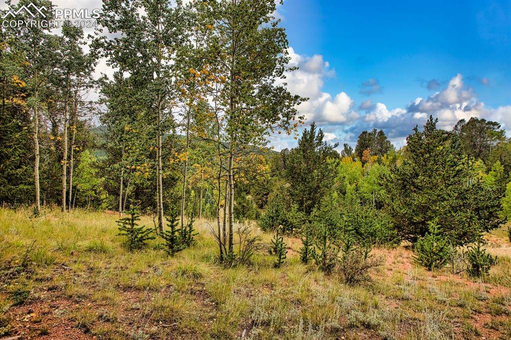 Cripple Creek, CO 80813,541 Brown Bear DR