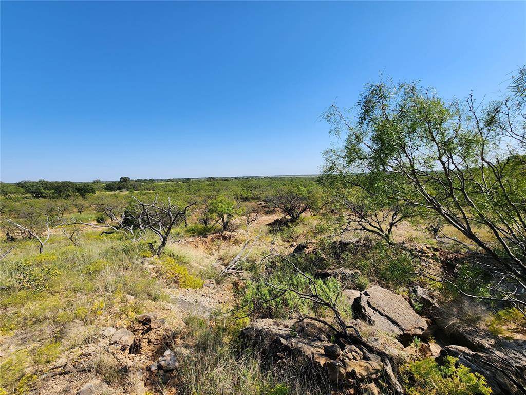 Cross Plains, TX 76443,TBD CR 445