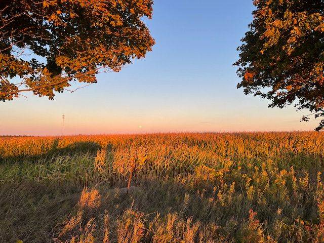 Scugog, ON L9L 1B4,16061 Island RD