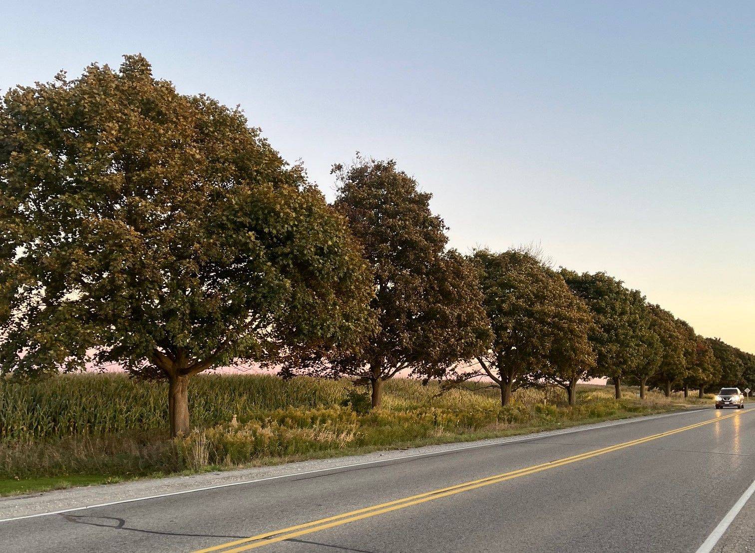 Scugog, ON L9L 1B4,16061 Island RD