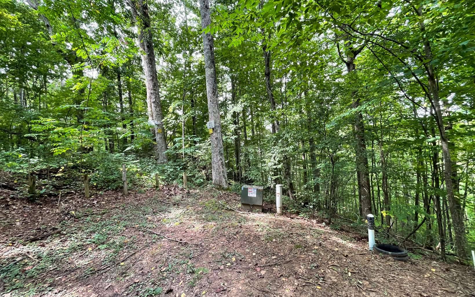 Hiawassee, GA 30546,LT 19 Bear Trail