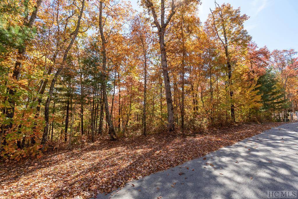 Cashiers, NC 28717,Lot 14 East Ridge Road