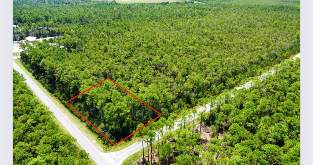 Apalachicola, FL 32320,Lot 17 Peachtree Rd