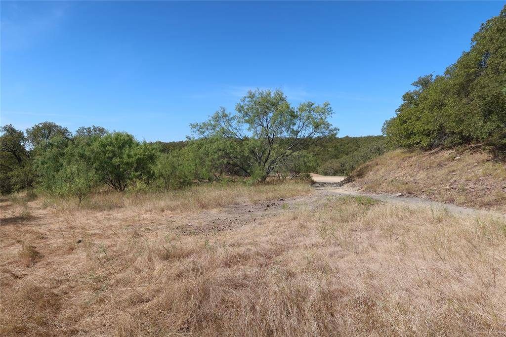 Bowie, TX 76230,TBD Ponderosa Street