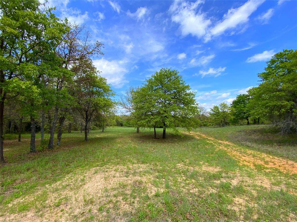 Montague, TX 76251,Tract 1 TX 175