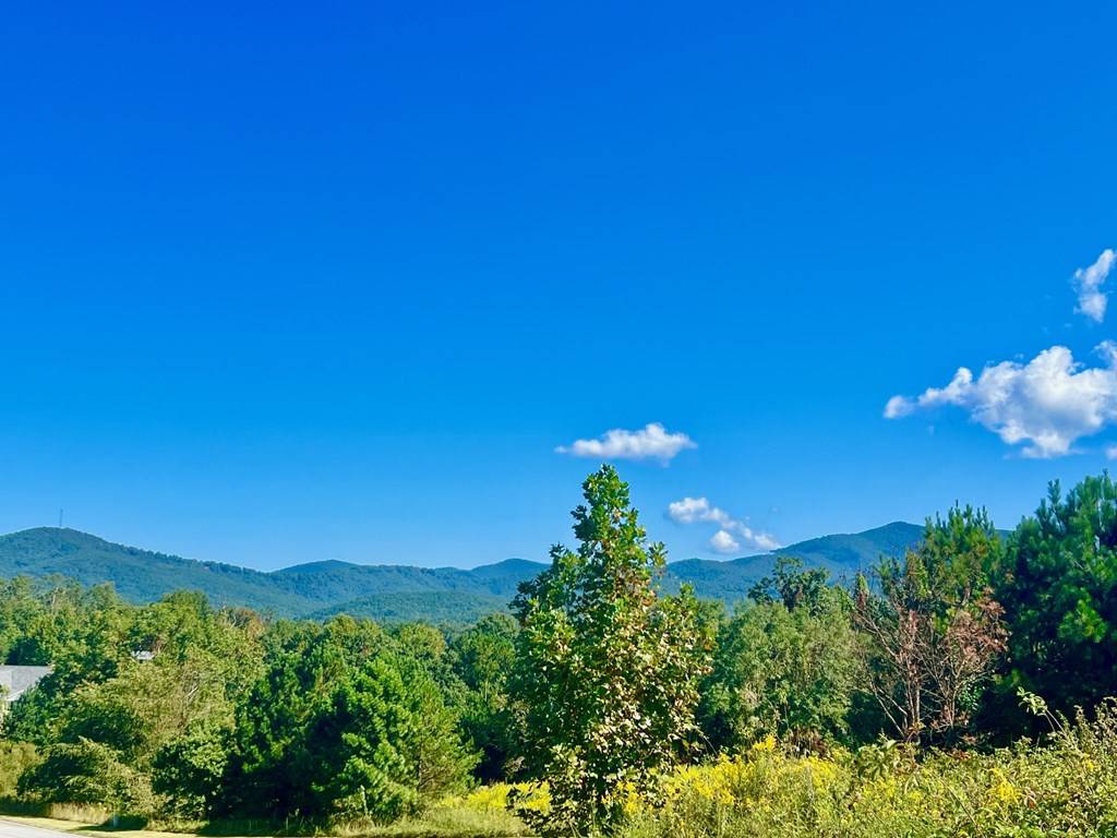 Ellijay, GA 30536,26 Ridgemont Lane