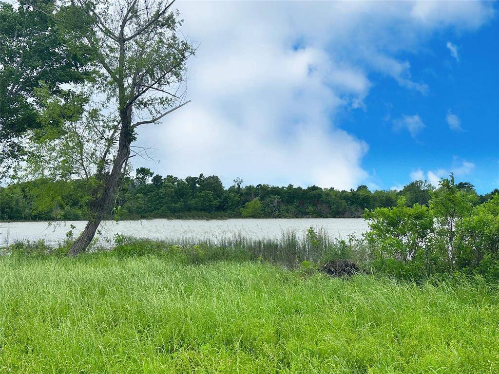 Streetman, TX 75859,Lot 71 Paradise Cove