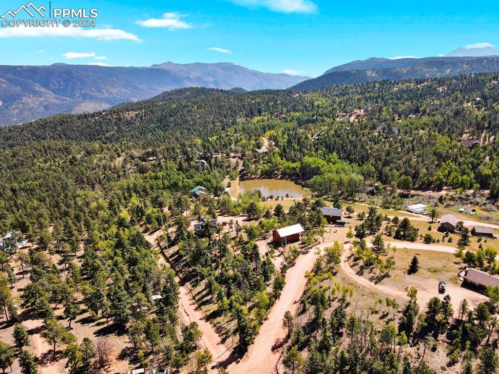 Woodland Park, CO 80863,460 Klitowya TRL