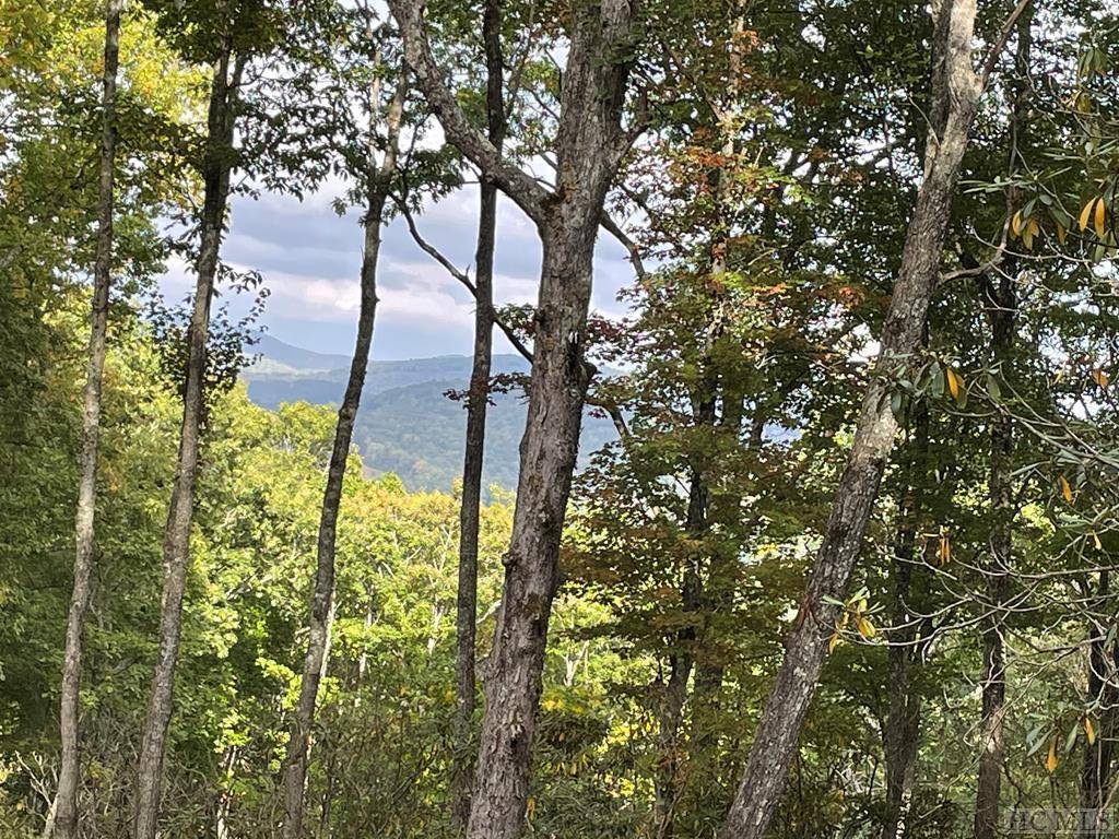 Cashiers, NC 28717,Lot 2 GlenCove Overlook