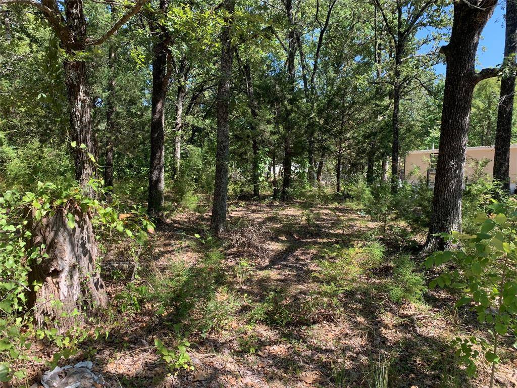 Mabank, TX 75156,0 Cheyenne Trail