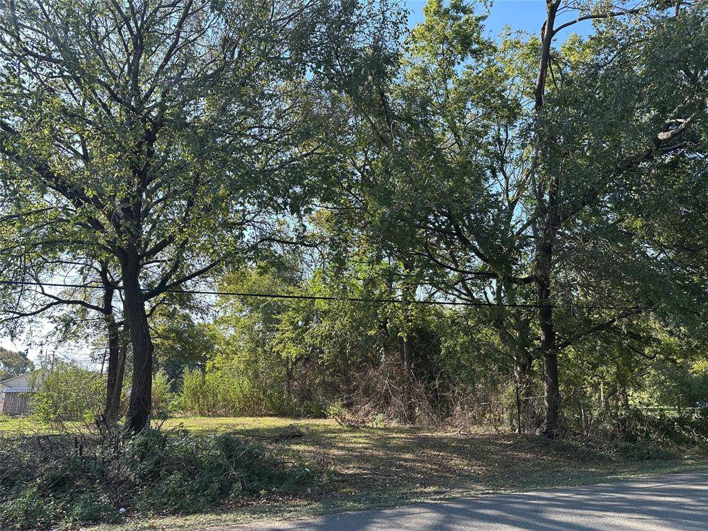 Corsicana, TX 75110,Lot 1 GW Jackson Avenue