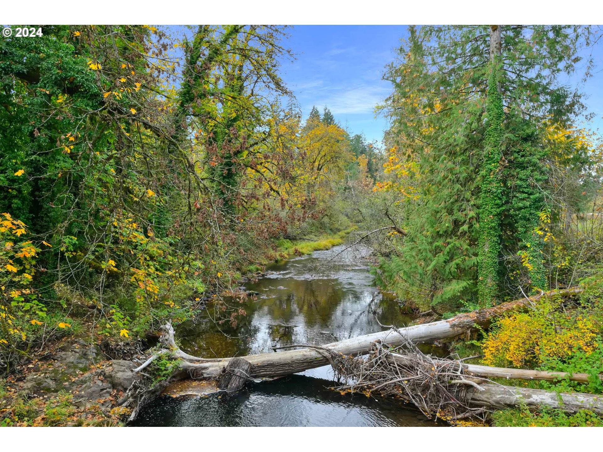 Fall Creek, OR 97438,39956 LITTLE FALL CREEK RD