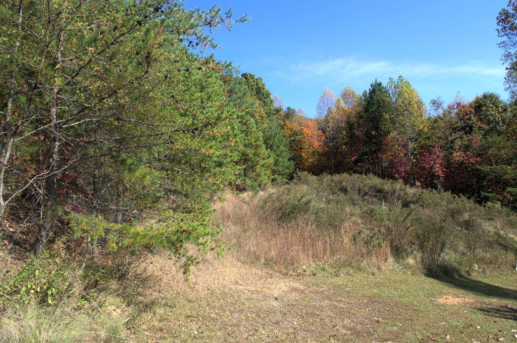 Blairsville, GA 30512,Lot 16 Summit Trace