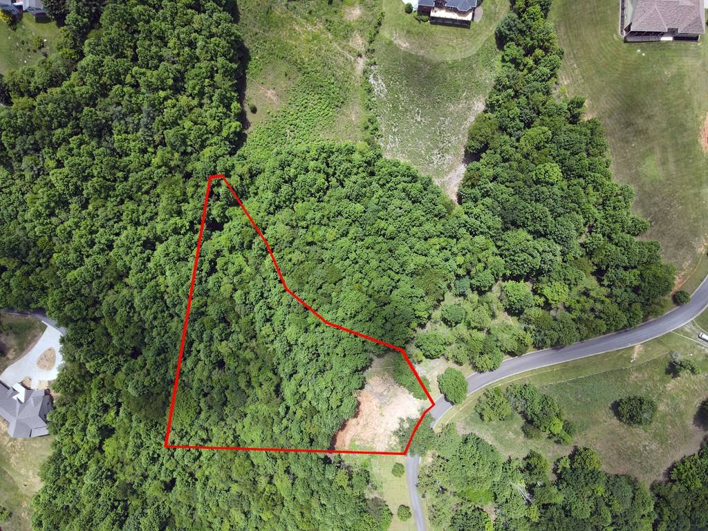 Blairsville, GA 30512,Tract 1 Summit Trace