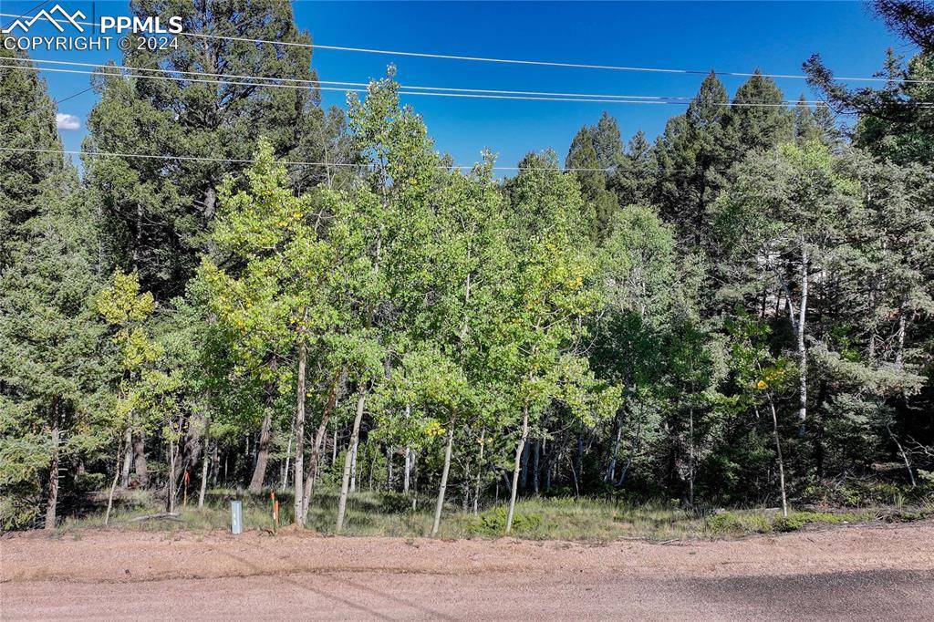 Divide, CO 80814,282 Pinon Lake DR