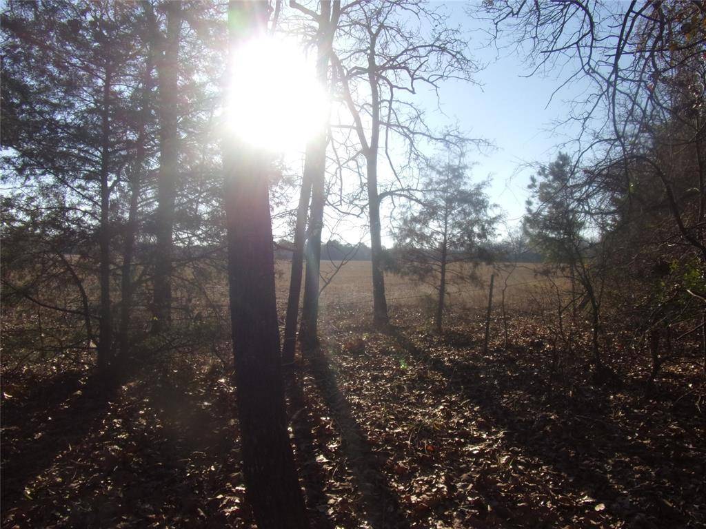 Murchison, TX 75778,522 Holly Glen