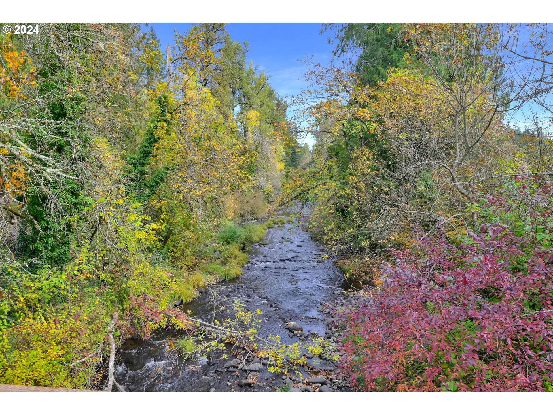 Fall Creek, OR 97438,39950 LITTLE FALL CREEK RD