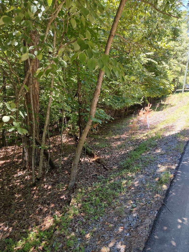 Ellijay, GA 30540,Lot 853 Matrix Lane