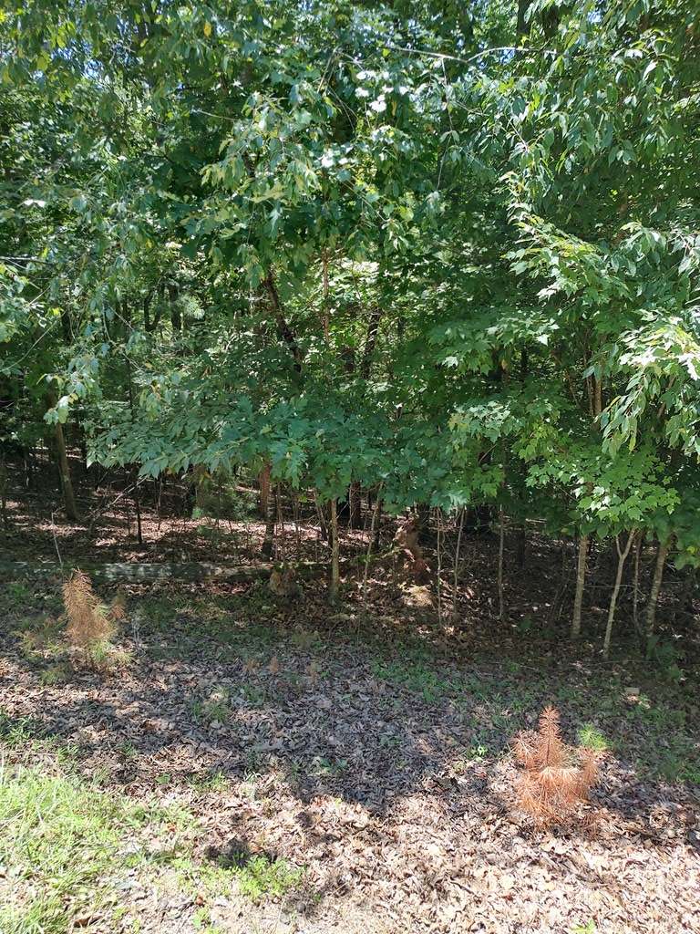 Ellijay, GA 30540,Lot 853 Matrix Lane