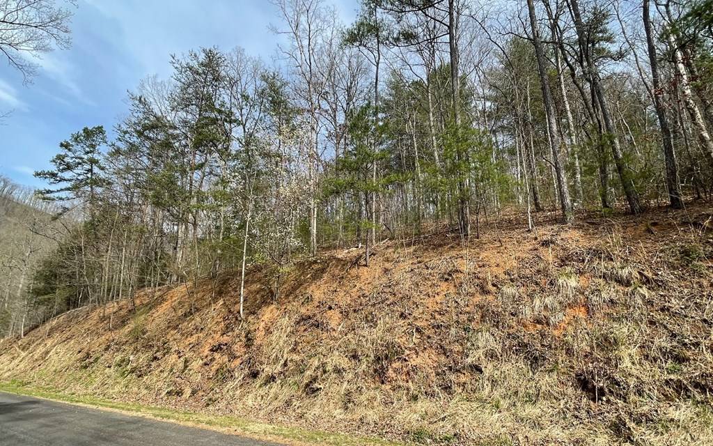 Hayesville, NC 28904,Lot 3 Harbour Heights