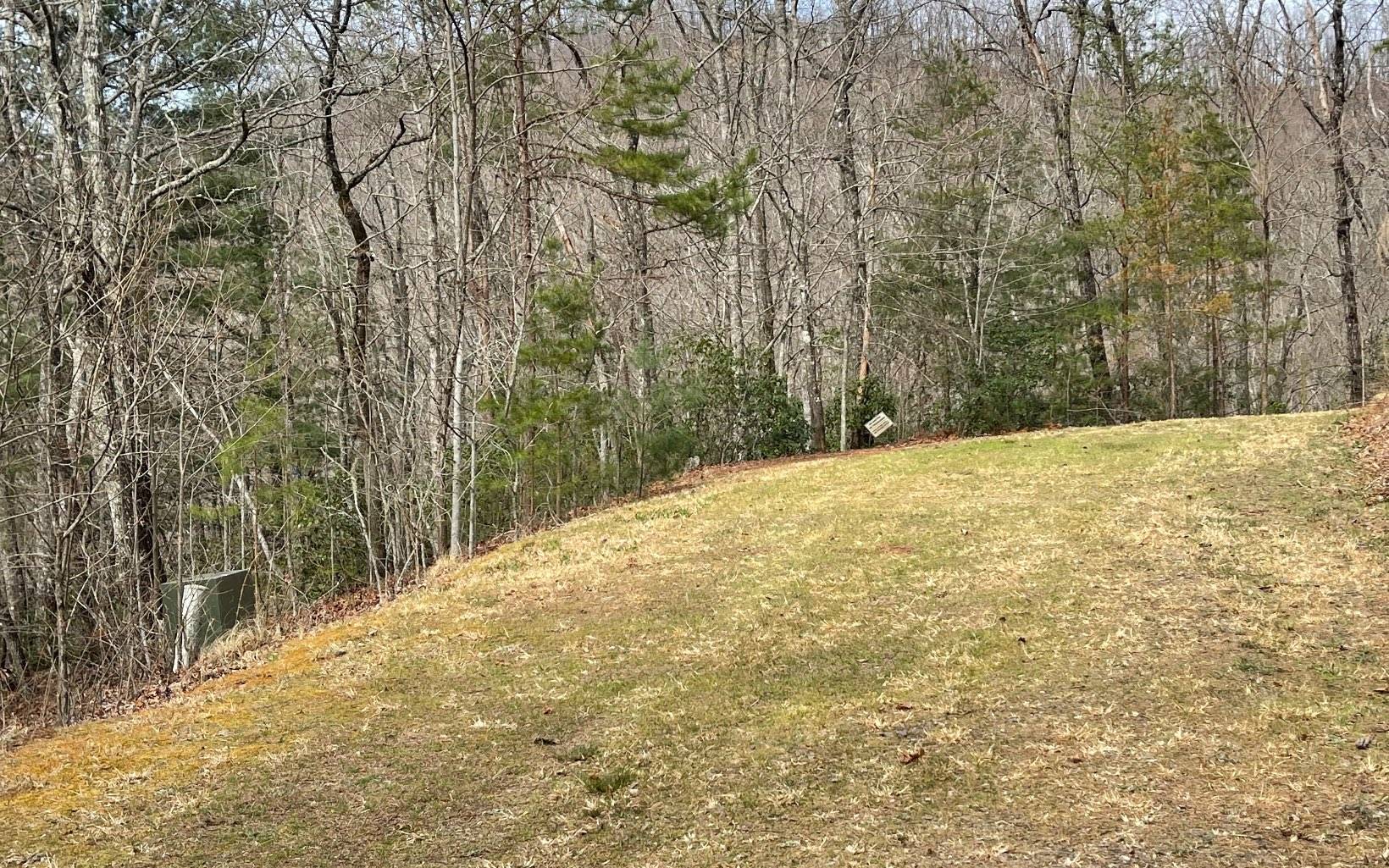 Hayesville, NC 28904,LOT 3 Harbour Heights Drive