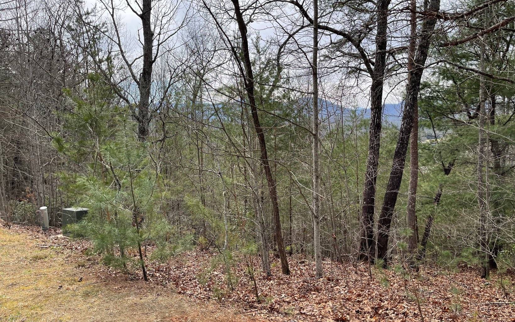 Hayesville, NC 28904,LOT 3 Harbour Heights Drive