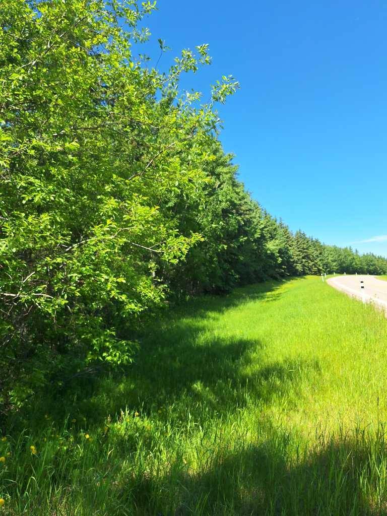 Rural Lac La Biche County, AB T0A 2C2,Twp Rd 665A Range Road 153