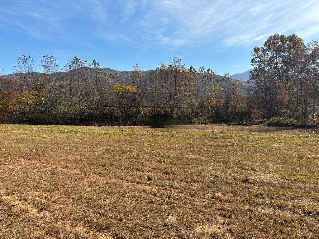 Young Harris, GA 30582,1.51-ac Hwy 76