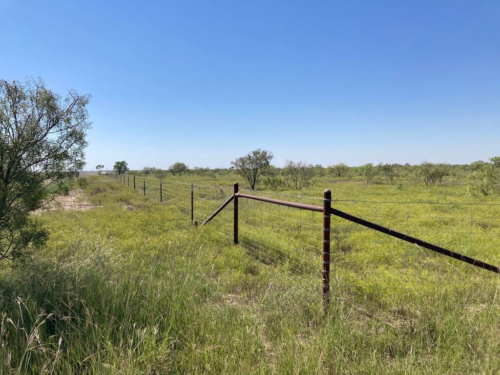 Rowena, TX 76875,586 County Rd 400