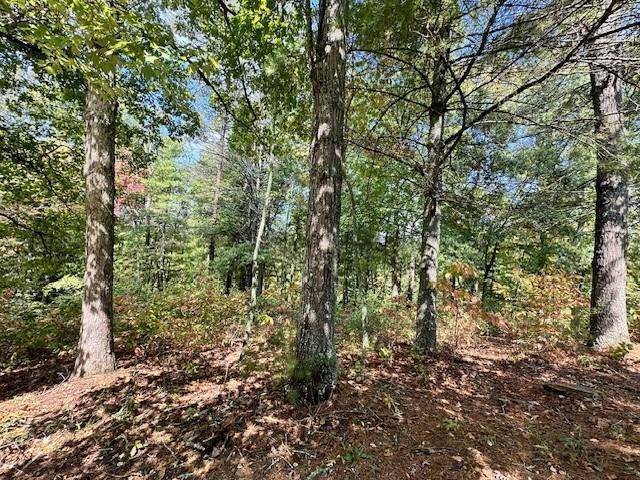 Mineral Bluff, GA 30559,Lot 215 Old Toccoa Loop