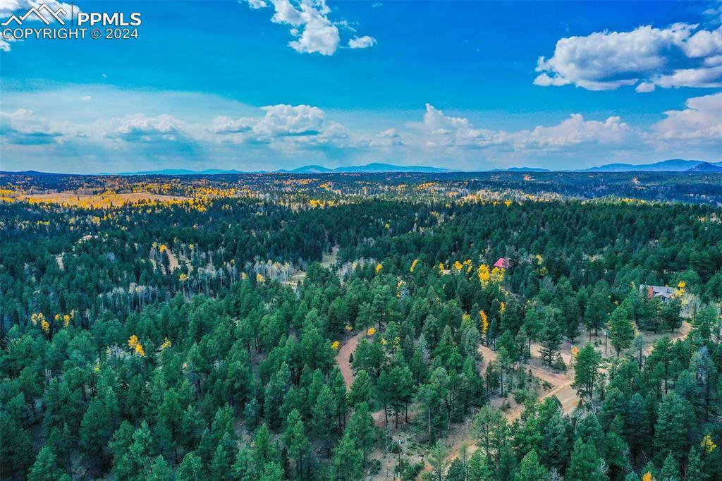 Divide, CO 80814,422 Spring Valley DR