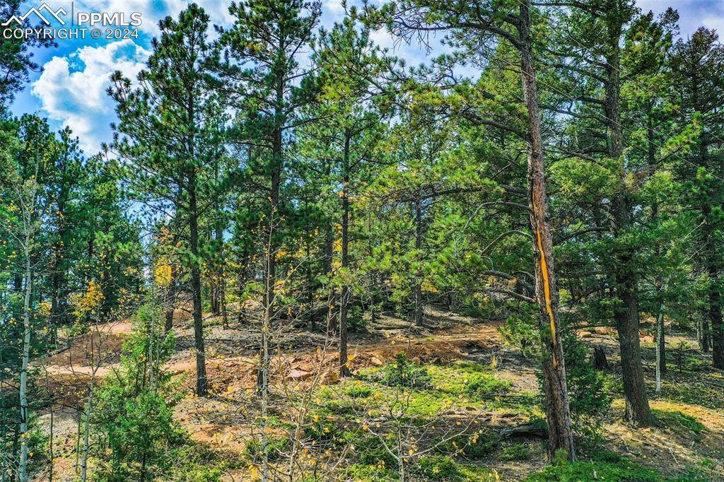 Divide, CO 80814,422 Spring Valley DR