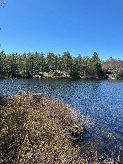 Gravenhurst, ON P1P 1R1,1 Island N/A