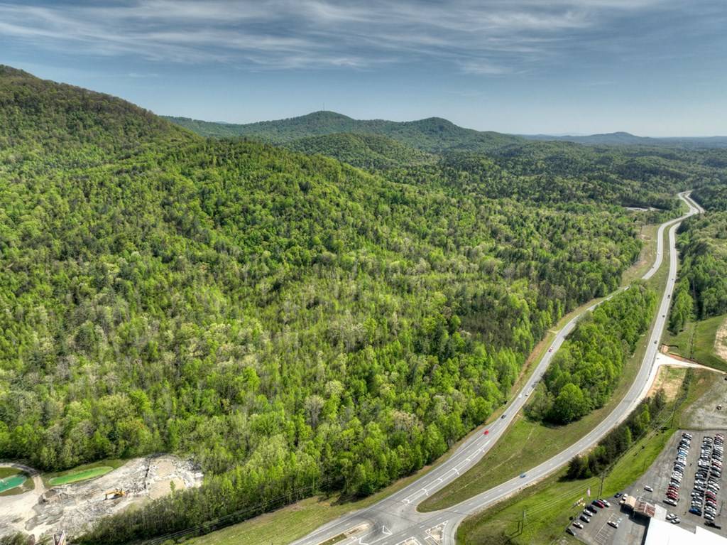 Ellijay, GA 30540,138.06AC Hwy 515