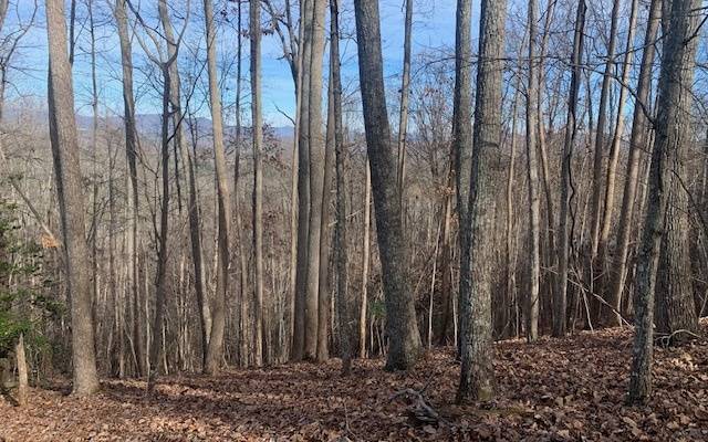 Blairsville, GA 30512,LOT7B Timber Bend