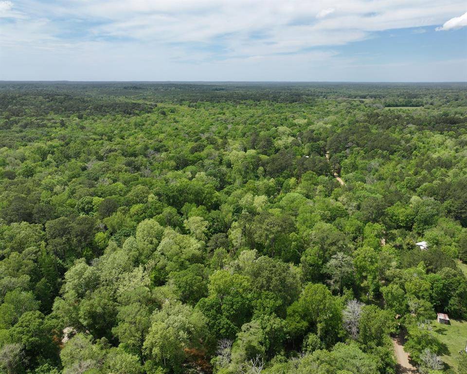 Colmesneil, TX 75938,000 County Road 3709