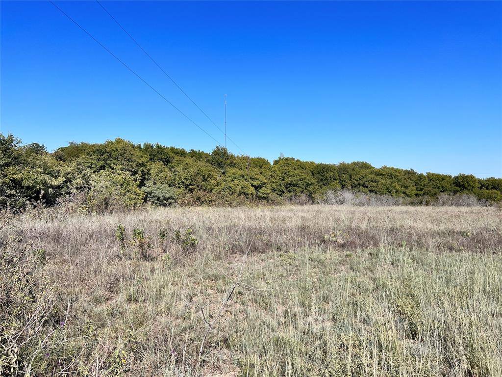 Carls Corner, TX 76670,TBD Linda Road