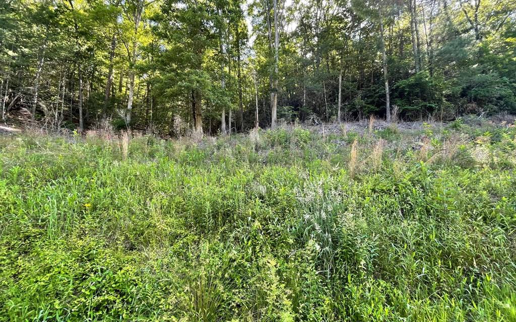 Hayesville, NC 28904,Lot 2 Fires Creek Road