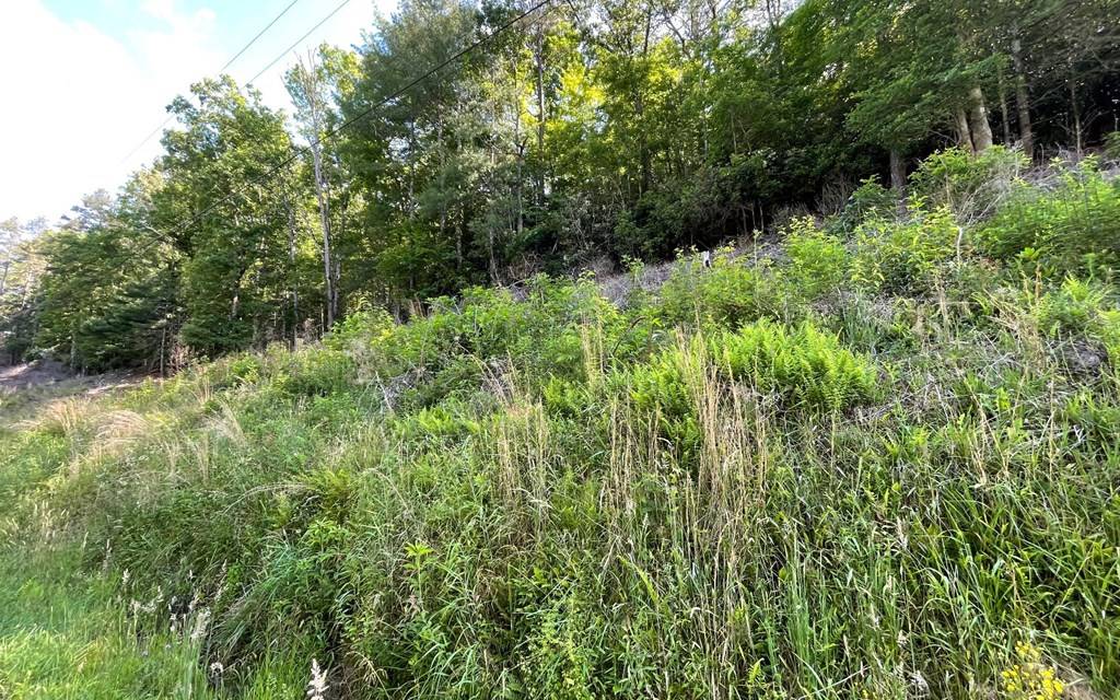 Hayesville, NC 28904,Lot 2 Fires Creek Road