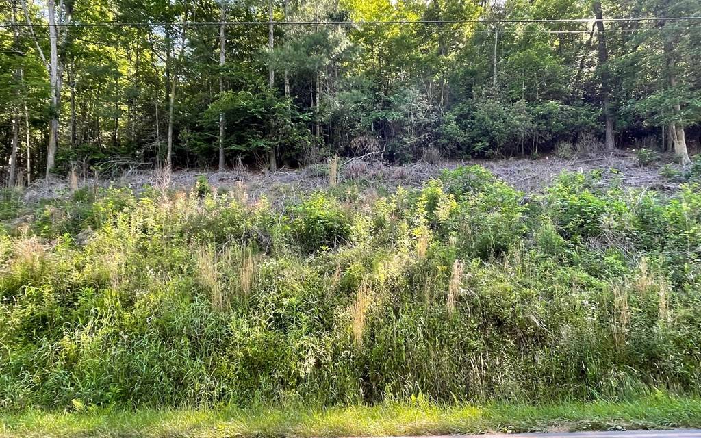 Hayesville, NC 28904,Lot 2 Fires Creek Road