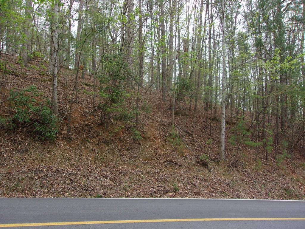 Ellijay, GA 30540,2090R Newport Dr (Lot)