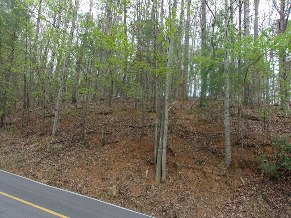 Ellijay, GA 30540,2090R Newport Dr (Lot)