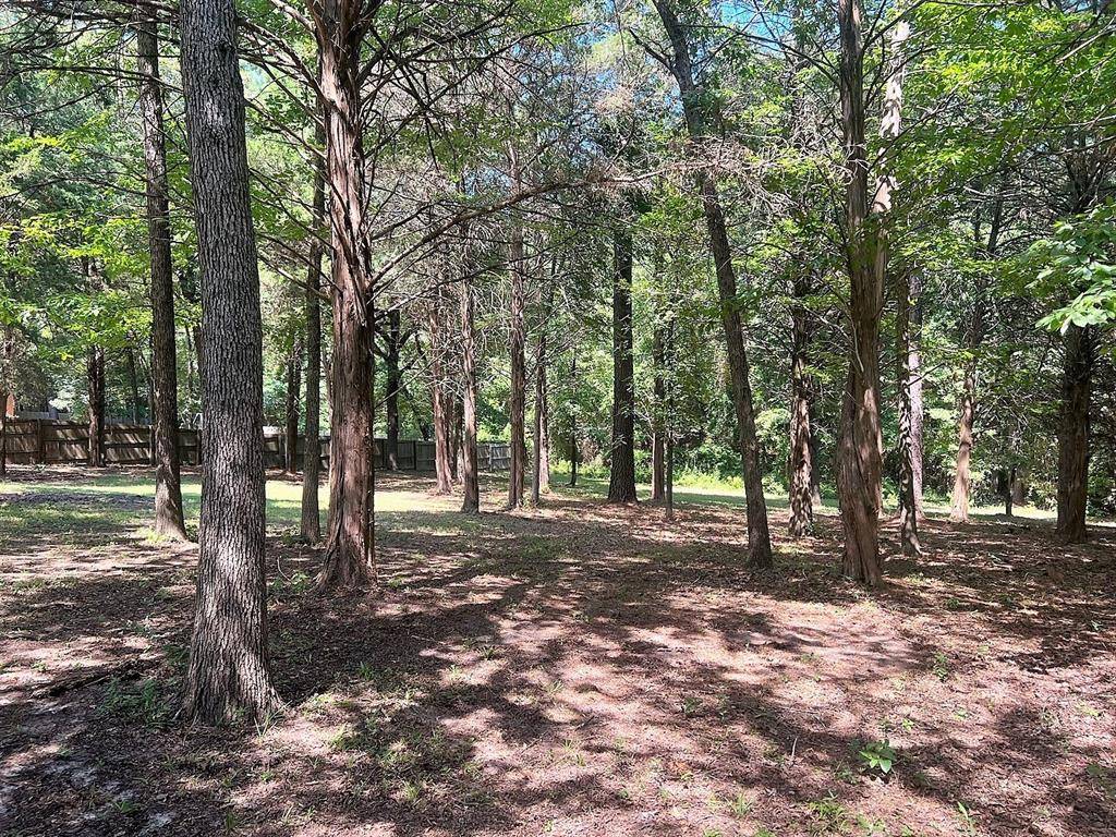 Mineola, TX 75773,Lot 64 CR 2317