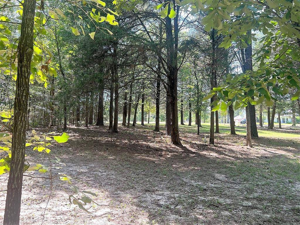 Mineola, TX 75773,Lot 64 CR 2317