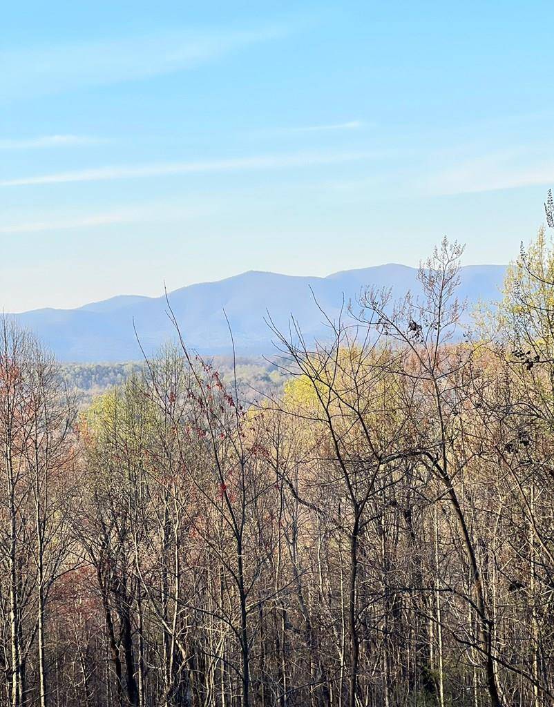 Ellijay, GA 30536,Lot 36 Bears Paw Drive