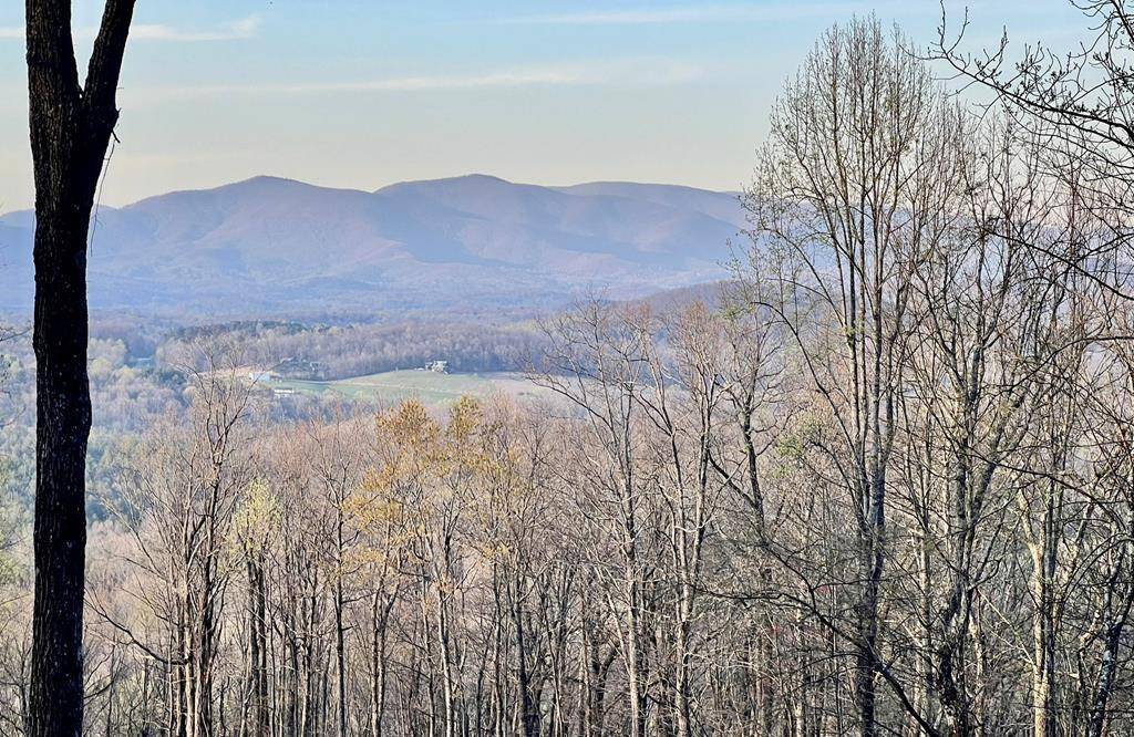 Ellijay, GA 30536,Lot 37 Bears Paw Drive