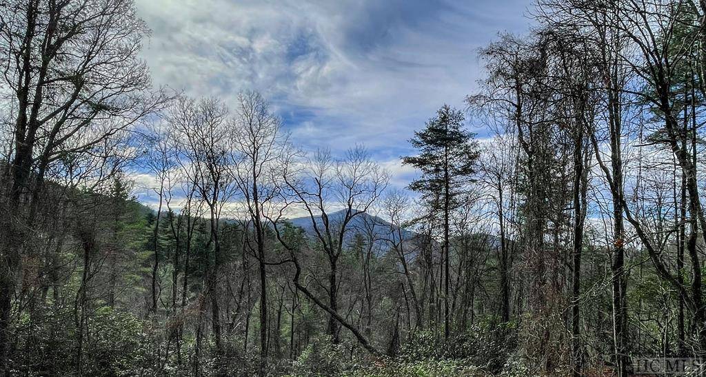 Cashiers, NC 28717,Lot 5 Saratay Falls Drive